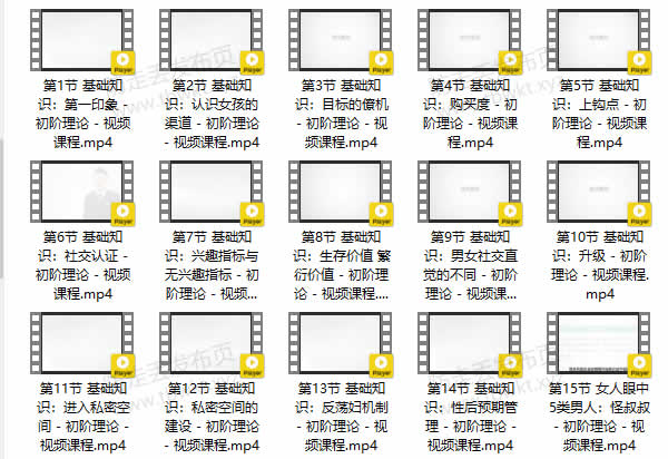 小鹿情感坏男孩《魅力工程1.0》