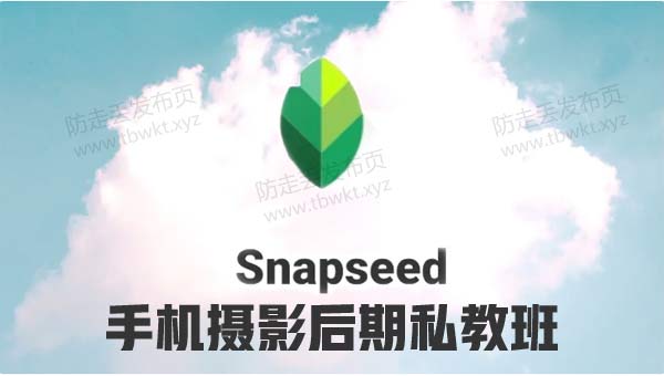 拍照修图《snapseed 手机摄影后期私教班》