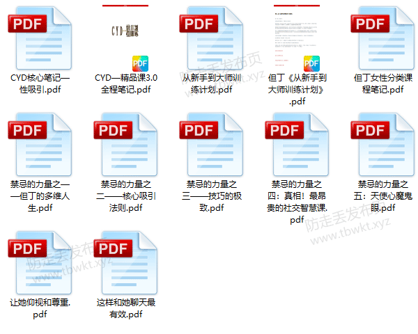 泡妞秘籍《但丁团队书籍》