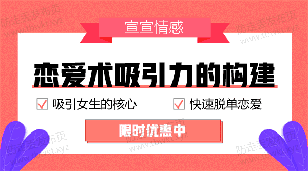 宣宣《恋爱术吸引力的构建》