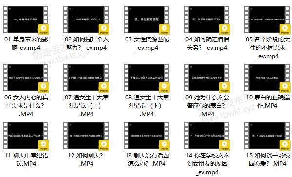 娜姐《零基础轻松入门恋爱之道2.0》