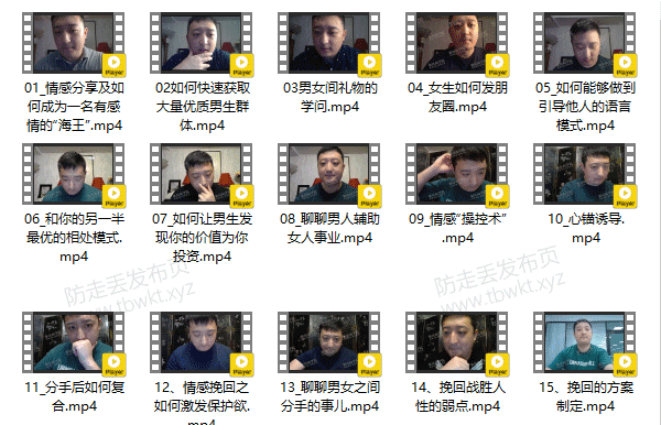 参哥情感《内部VIP课程》
