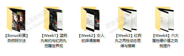 AB《红药丸觉醒纪元》