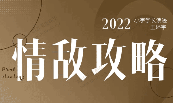 浪迹《情敌攻略视频课+进阶版》