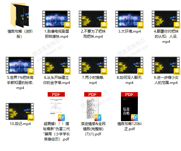 浪迹《情敌攻略视频课+进阶版》