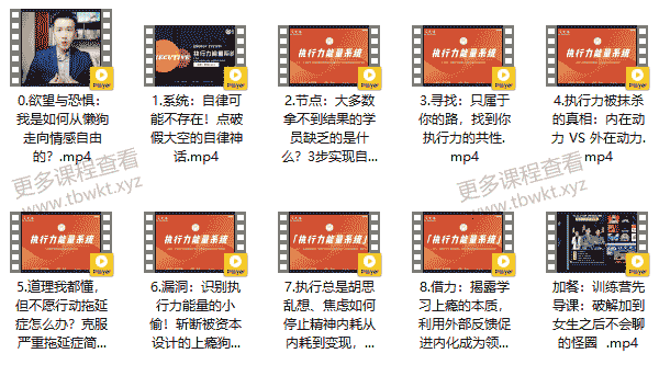 社交光谱莱特《执行力能量系统》无尽的执行和自律能量