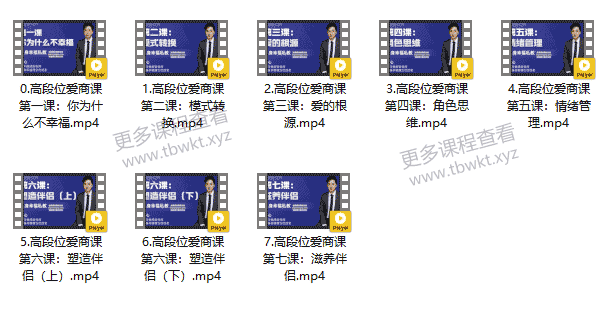 核心导师《高段位爱商课》