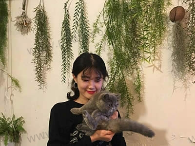 陌陌约会撩妹技巧，怎么在陌陌上邀约女生？